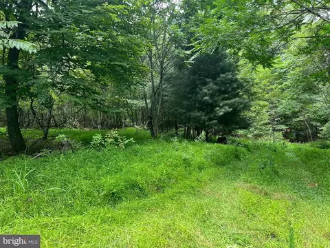 Timber Ridge, Mount Jackson, VA 22842 photo 29
