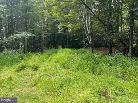 Timber Ridge, Mount Jackson, VA 22842 photo 30