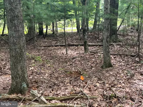 Timber Ridge, Mount Jackson, VA 22842 photo 19