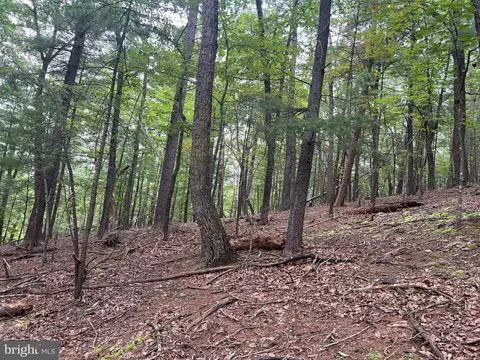 Timber Ridge, Mount Jackson, VA 22842 photo 10