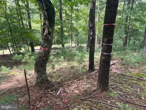 Timber Ridge, Mount Jackson, VA 22842 photo 4
