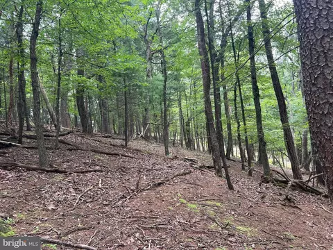 Timber Ridge, Mount Jackson, VA 22842 photo 11