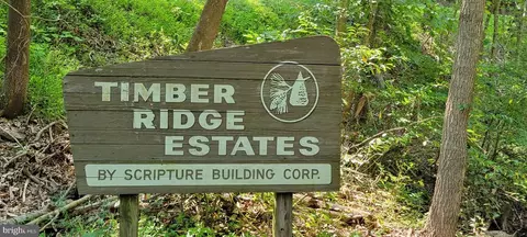 Timber Ridge, Mount Jackson, VA 22842 photo 34