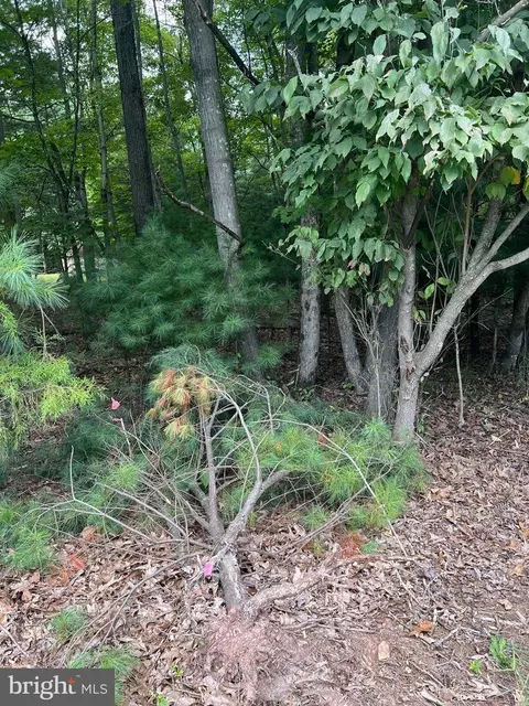 Timber Ridge, Mount Jackson, VA 22842 photo 21