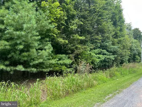 Timber Ridge, Mount Jackson, VA 22842 photo 22
