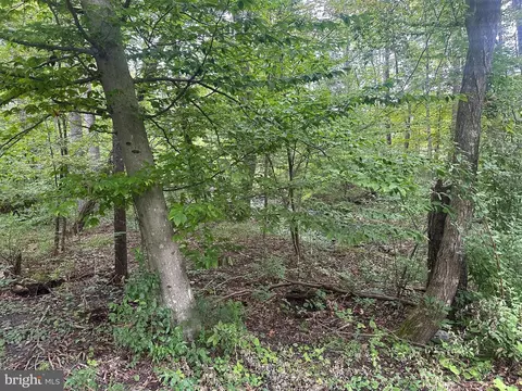 tbd Van Buren Rd, Maurertown, VA 22644