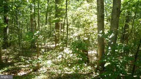 lot95 Willow Ln, Mount Jackson, VA 22842