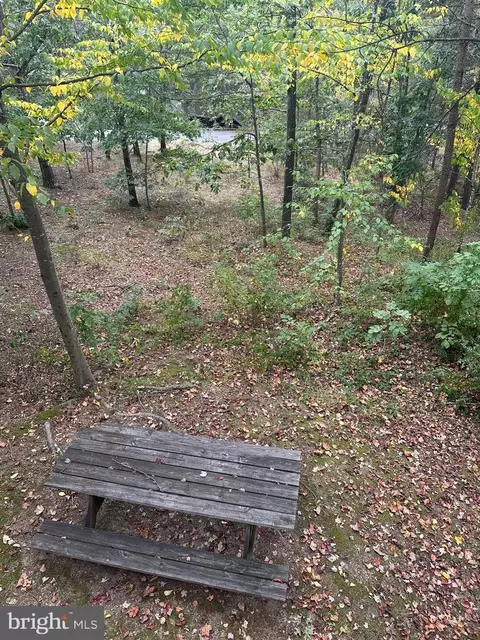 404 Spitz Ln #88 A & B, Basye, VA 22810 photo 7