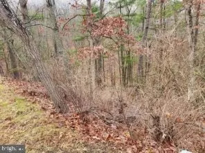 Moccasin, Basye, VA 22810