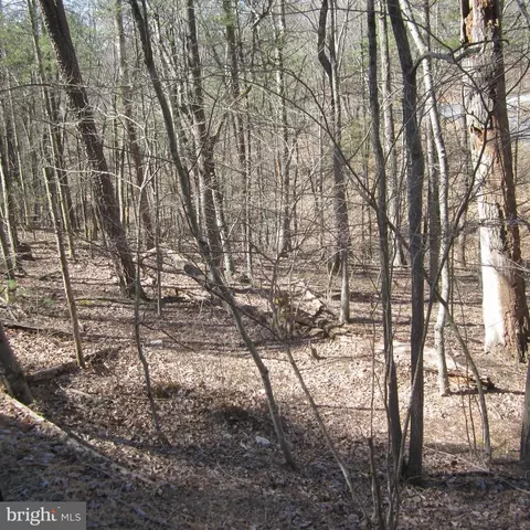 180 Spruce Ln, Mount Jackson, VA 22842 photo 2