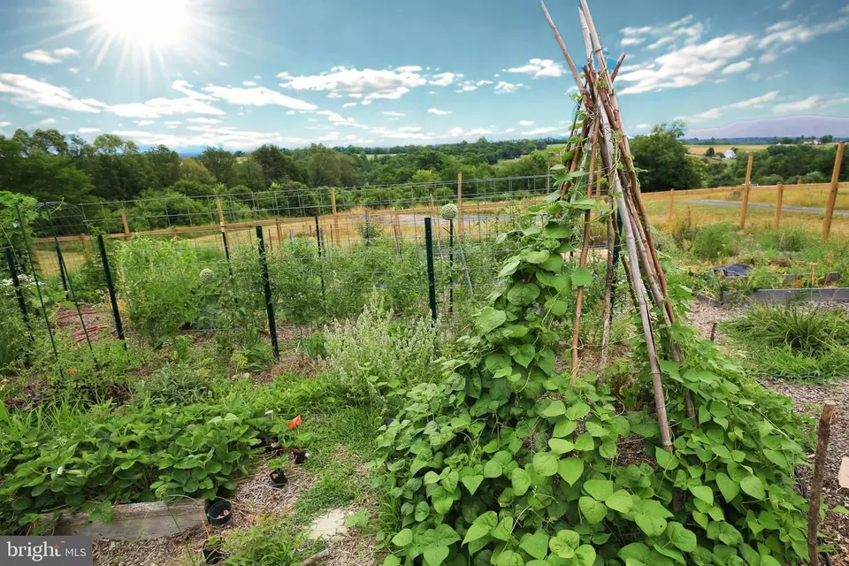 Other - 384 Lindamood Ln, Strasburg, VA 22641 photo 15 of 17