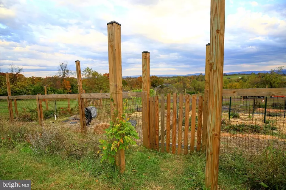 Exterior - 384 Lindamood Ln, Strasburg, VA 22641 photo 5 of 10