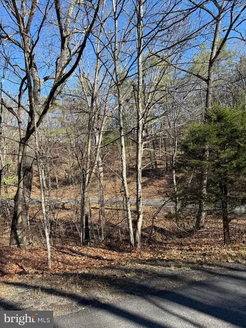 Susan Road, Mount Jackson, VA 22842 photo 12