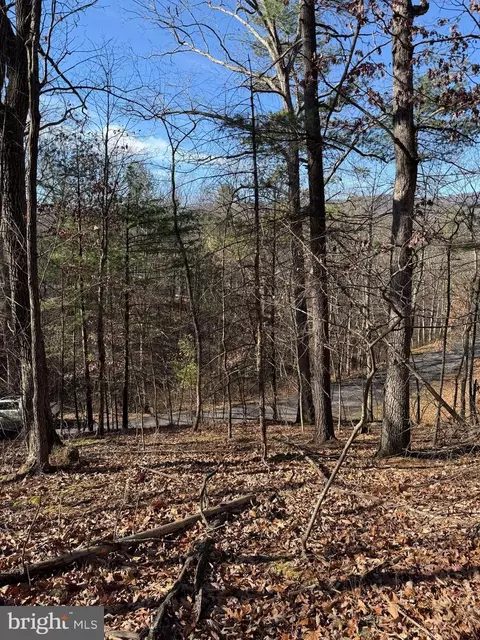Susan Road, Mount Jackson, VA 22842 photo 9