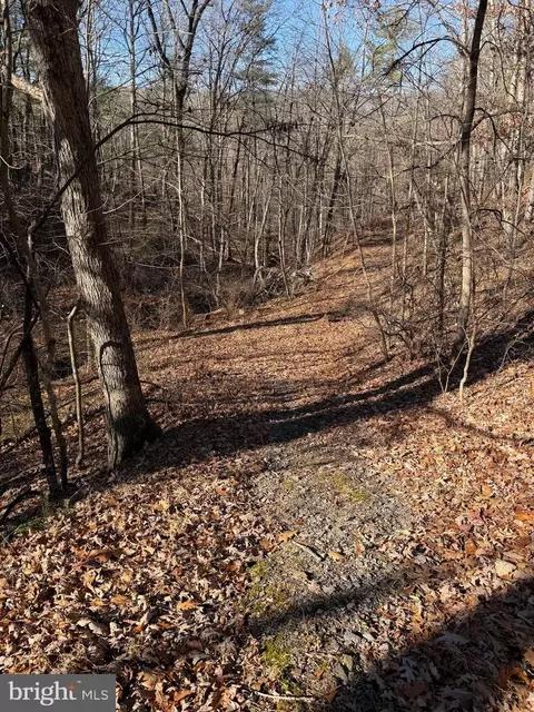 Susan Road, Mount Jackson, VA 22842 photo 10