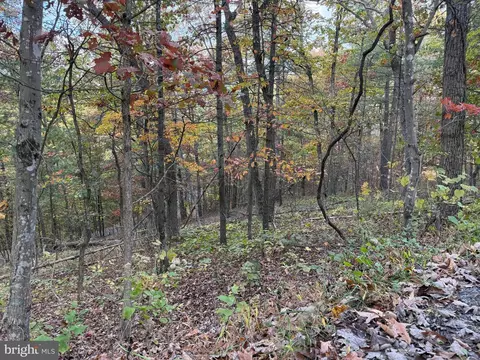 Susan Road, Mount Jackson, VA 22842 photo 14