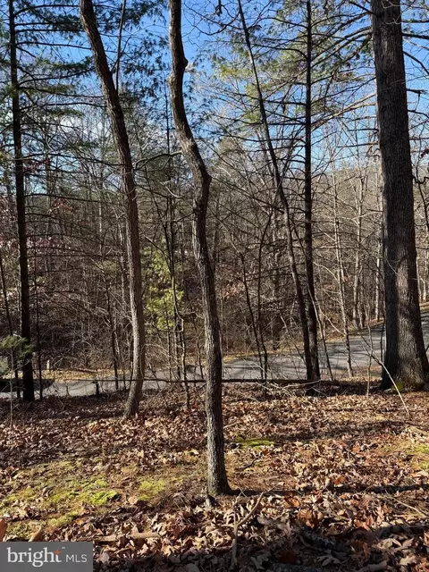Susan Road, Mount Jackson, VA 22842 photo 7