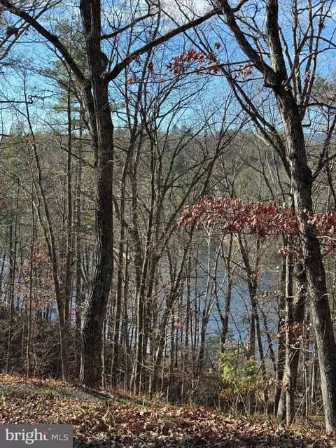 Susan Road, Mount Jackson, VA 22842 photo 11