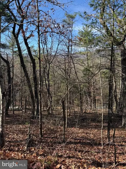 Susan Road, Mount Jackson, VA 22842 photo 2