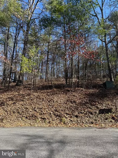 Susan Road, Mount Jackson, VA 22842 photo 4