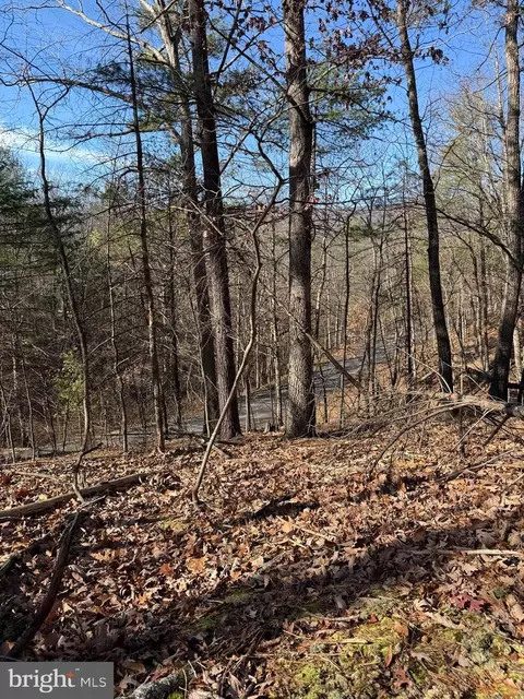 Susan Road, Mount Jackson, VA 22842 photo 8