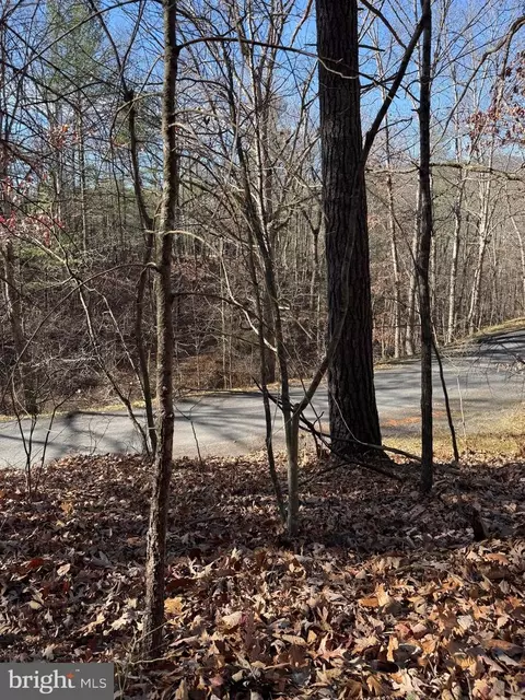 Susan Road, Mount Jackson, VA 22842 photo 5