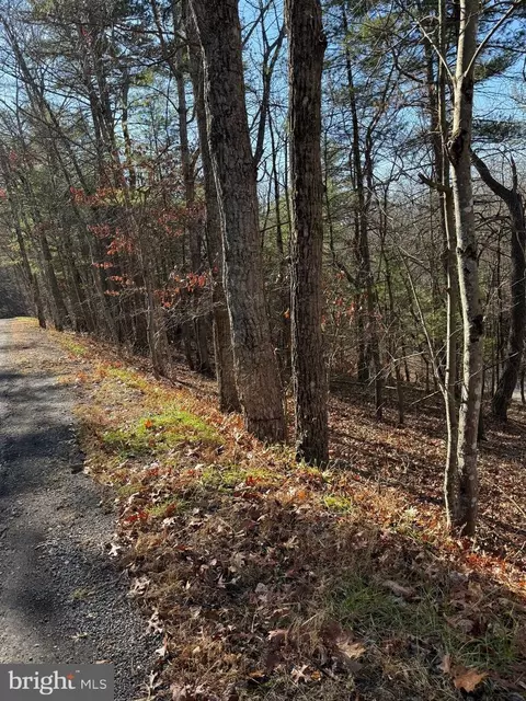 Susan Road, Mount Jackson, VA 22842 photo 3