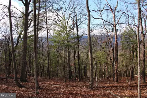 Supinlick Ridge Road, Mount Jackson, VA 22842
