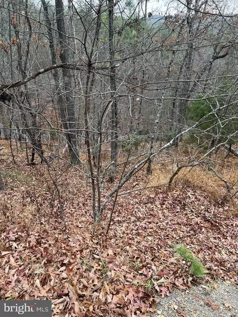 0 Hampton St, Basye, VA 22810 photo 3