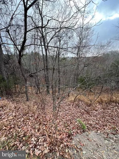 0 Hampton St, Basye, VA 22810