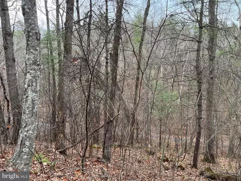 0 Crab Apple, Mount Jackson, VA 22842 photo 3