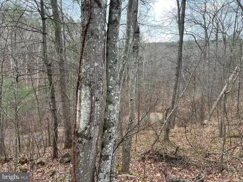 0 Crab Apple, Mount Jackson, VA 22842
