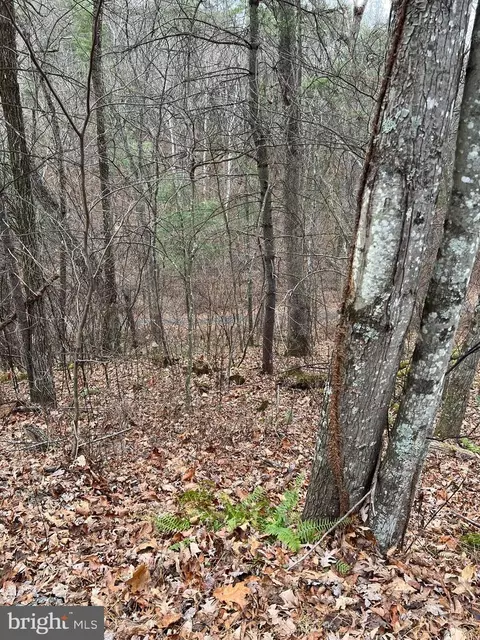 0 Crab Apple, Mount Jackson, VA 22842 photo 2