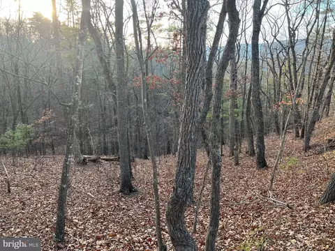 0 Straton, Basye, VA 22810
