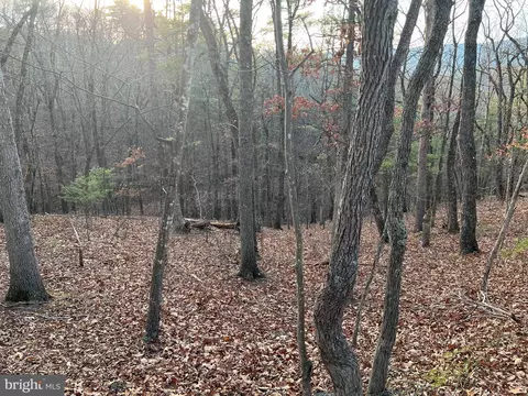 0 Straton, Basye, VA 22810 photo 2