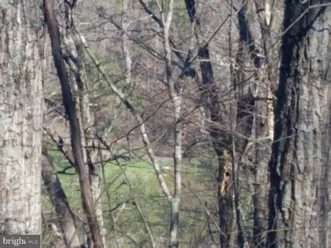 00 Lee Rd, Basye, VA 22810 photo 4