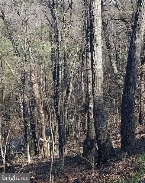 00 Lee Rd, Basye, VA 22810 photo 3