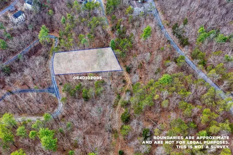 King Street, Basye, VA 22810 photo 15