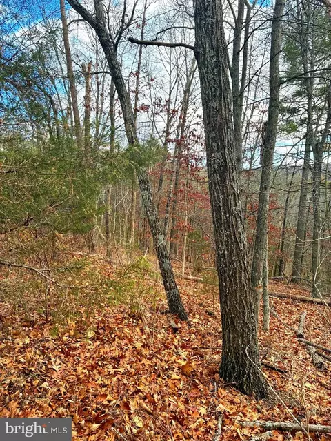Spitz Lane, Basye, VA 22810 photo 6