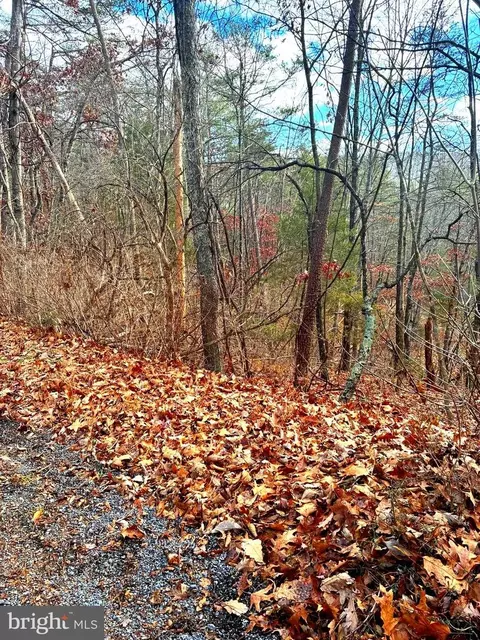 Spitz Lane, Basye, VA 22810 photo 7