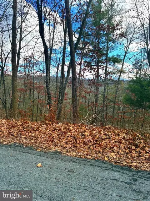 Spitz Lane, Basye, VA 22810 photo 5
