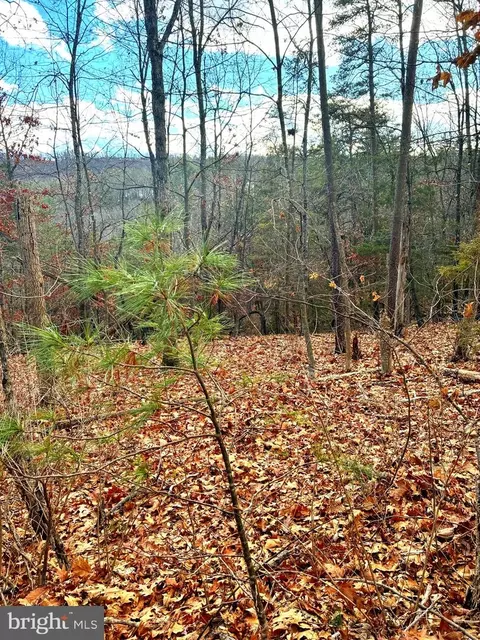 Spitz Lane, Basye, VA 22810 photo 9