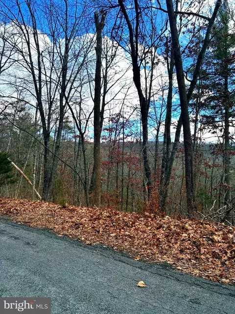Spitz Lane, Basye, VA 22810
