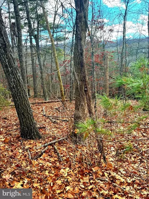Spitz Lane, Basye, VA 22810 photo 8