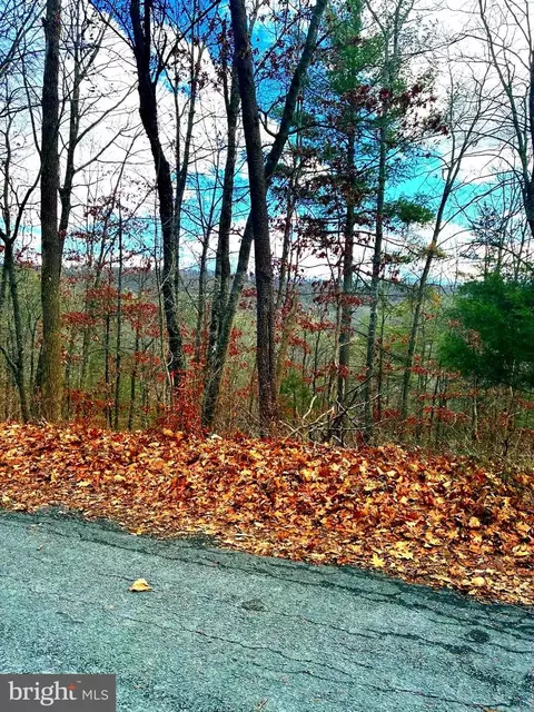 Spitz Lane, Basye, VA 22810 photo 4