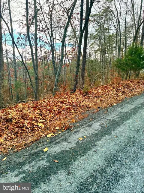 Spitz Lane, Basye, VA 22810 photo 3