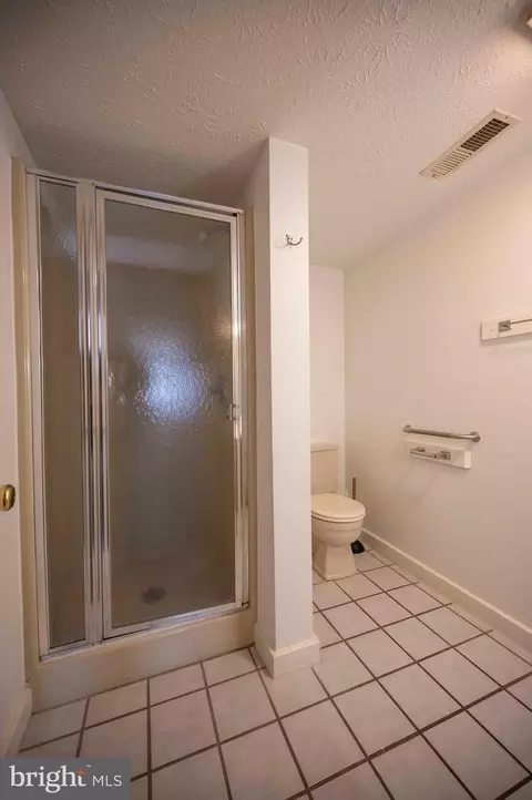 Bath - 377 Spitz #100 A&B, Basye, VA 22810 photo 1 of 11