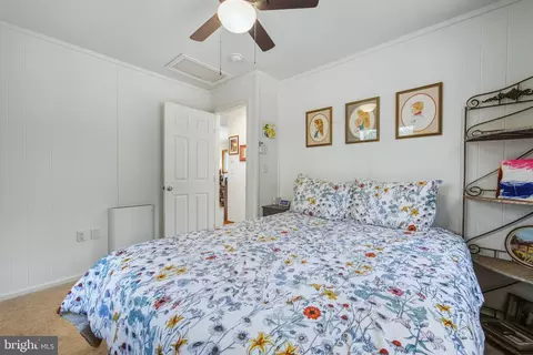 Bedroom - 151 Patrick Ln, Mount Jackson, VA 22842 photo 5 of 6