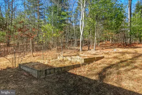 Exterior - 151 Patrick Ln, Mount Jackson, VA 22842 photo 8 of 14