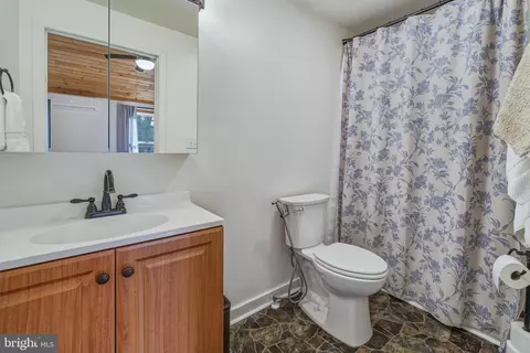 Bath - 151 Patrick Ln, Mount Jackson, VA 22842 photo 1 of 2